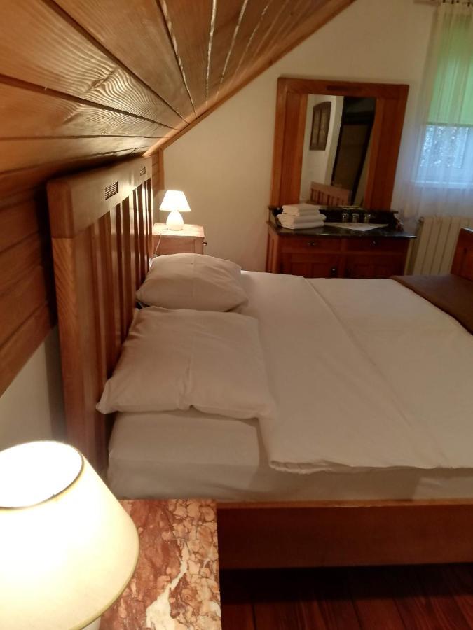 Guesthouse Arnika Fužine Екстериор снимка